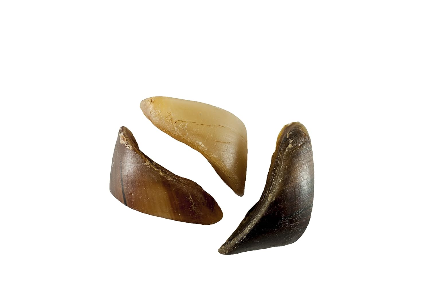 Hooves for Dogs 25 Count 100 Natural Bulk Dog Chews Beef Hoof From