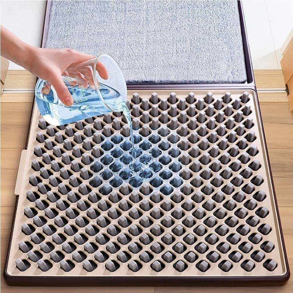 El felpudo desinfectante para el Coronavirus mas vendido