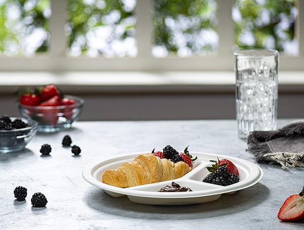 COMFY PACKAGE [10 INCH – 125 PACK 100% COMPOSTABLE 3 COMPARTMENT PAPER PLATES, WHITE HEAVY-DUTY DIVIDED PLATES, DISPOSABLE BIODEGRADABLE PLATES