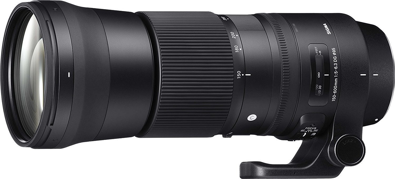 Sigma 150-600 mm F5-6.3 DG OS HSM Lente de zoom (contemporáneo) para cámaras Nikon DSLR (renovado)