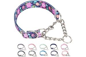 MAOWUWUJOZ Martingale Dog Collar with Chain, No Pull Slip Cinch Choker Choke Collar Bohemia Flowers Duty Dog Collar for Medium Large Extra Large Pet Dogs,Flowers L
