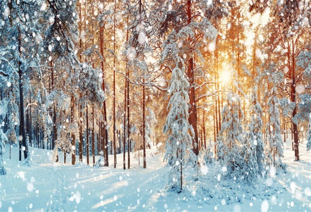 Amazon.com : LFEEY 10x8ft Winter Snow Scene Backdrop Glitter Snow