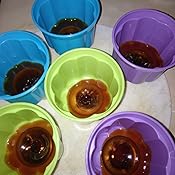 IBILI 756500 - Set 6 Moldes Gelatina: Amazon.es: Hogar