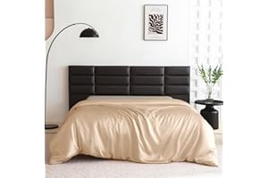 THXSILK 100% Silk Duvet Cover King Size, 22 Momme Mulberry Silk Comforter Cover, Cooling, Breathable, Easy Care Zipper Closure, 1 PC Duvet Cover (King, Champagne)