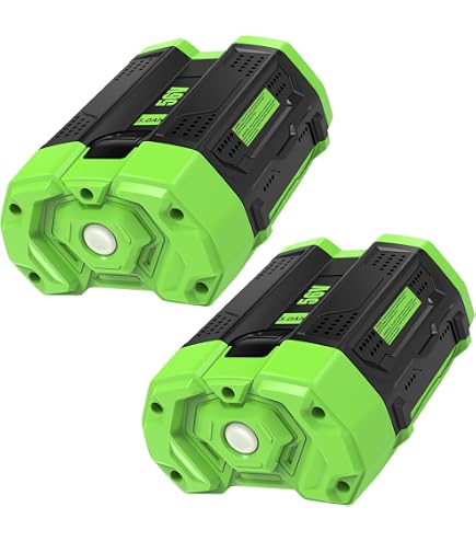 S SKSTYLE New EGO 56V Battery 5.0Ah Replacement Battery For...