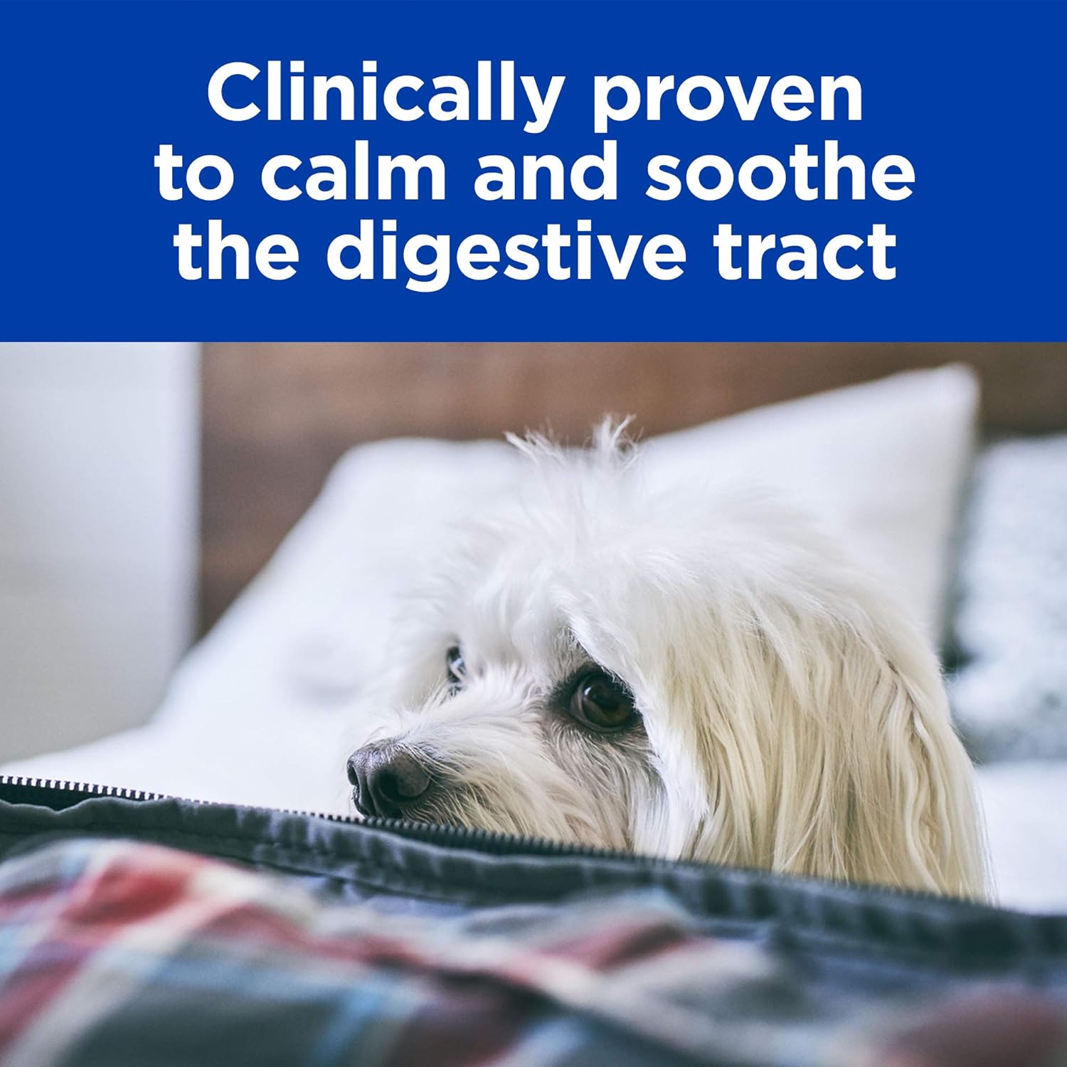 hills id prescription diet canine