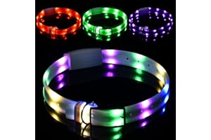 NOVKIN Lighted Dog Collar, Rechargeable Light Up Pet Collar, Waterproof LED Dog Collar Glow in The Dark, Make Pet Visible and Safety for Night Walking for Small Medium Large Dogs (Rainbow)