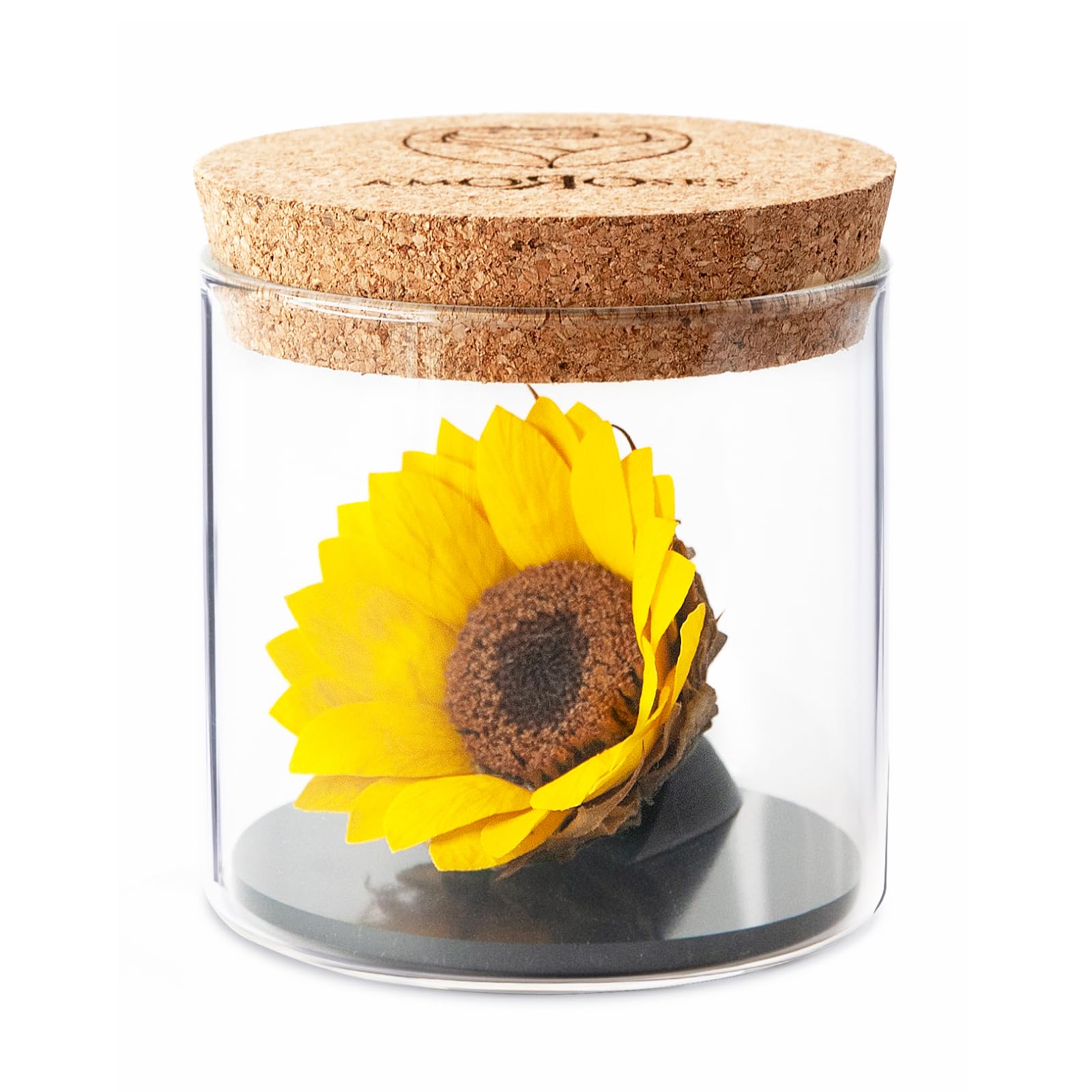 Amoroses Sunflo - Stabilised Sunflower eternal flower in Glass Jar | Gift Idea