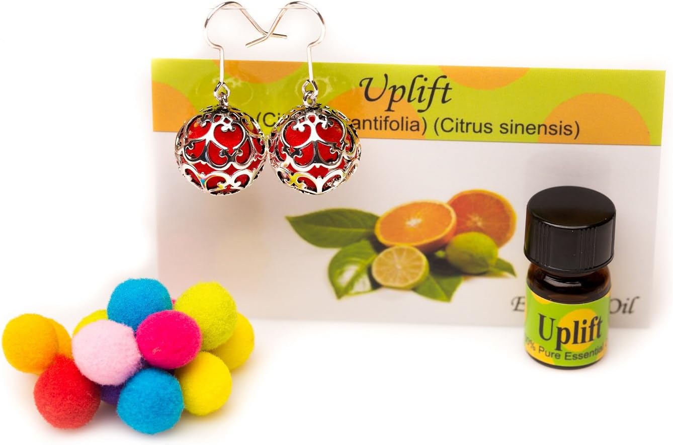 Essential Oil Diffuser Earrings - Aromatherapy Jewelry - Silver Pendant Locket Design