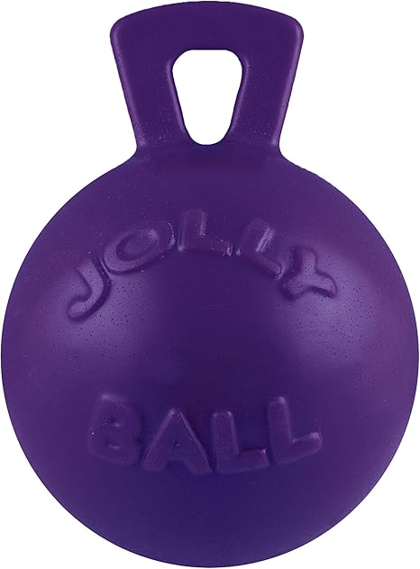 dog ball with handle