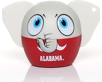 bitty boomers wireless bluetooth speaker