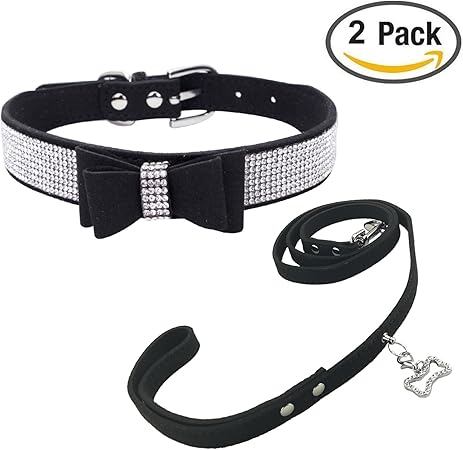 kitten collar and leash