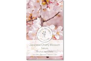 Gaea's Blessing Seeds - Japanese Cherry Blossom Tree Seeds - Sakura Tree Seeds - Prunus serrulata - Non-GMO Tree Seeds with Easy to Follow Instructions, Heirloom, Open-Pollinated, Untreated