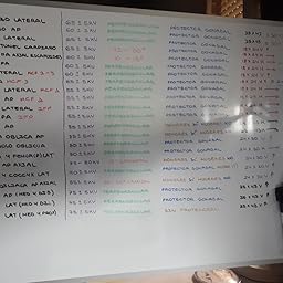 BIC Velleda 1721 Caja de 24 unidades, marcadores de pizarra punta ...