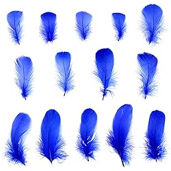 300pcs Blue Feathers 2-3 Inches Bulk Feathers for