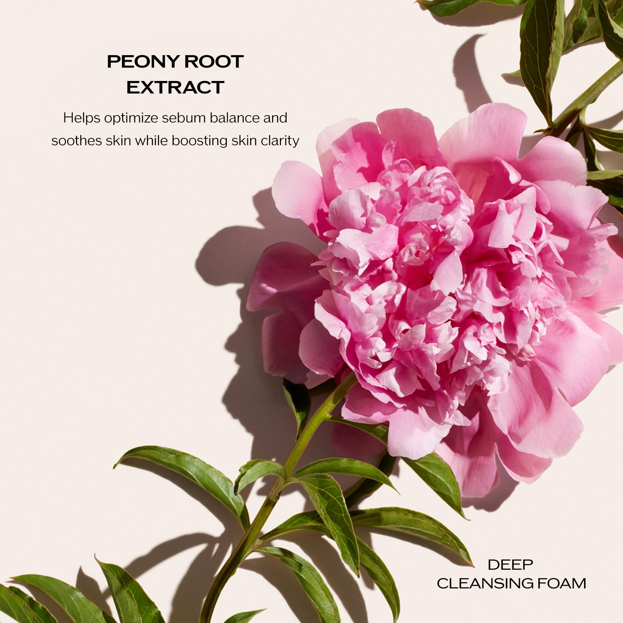 Shiseido Benefiance Wrinkle Smoothing Cream Enriched (Large Size, 75 mL) + Deep Cleansing Foam (125 mL)