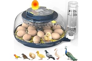 INNHOM Incubators for Hatching Eggs, 18 Eggs Incubator with Egg Candler, Auto Egg Turner, Temp & Humidity Control, Hatch Day, Auto Water Refill, 2 Size Egg Tray, 360° Viewing for Chicken, Duck, Quail