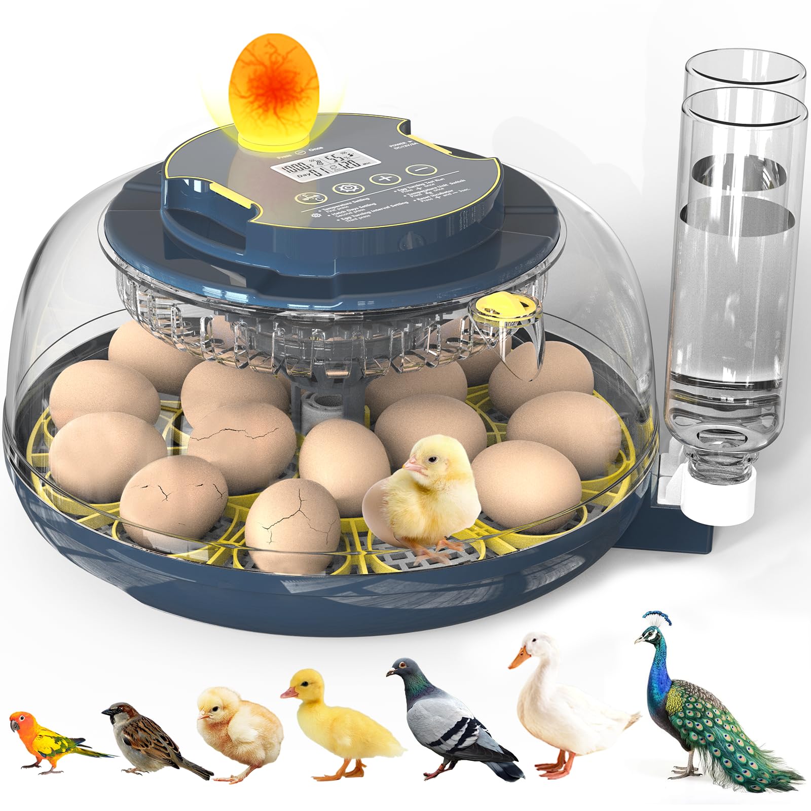 Photo 1 of Incubators for Hatching Eggs, 18 Eggs Incubator with Egg Candler, Auto Egg Turner, Temp & Humidity Control, Hatch Day, Auto Water Refill, 2 Size Egg Tray, 360° Viewing for Chicken, Duck, Quail