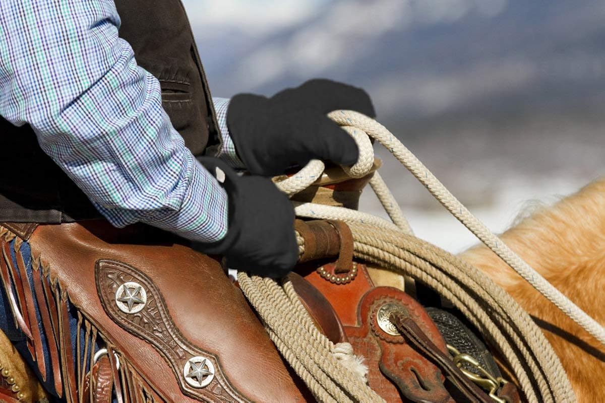 SKYDEER 3M Thinsulate Thermal Winter Work Gloves with Windproof Premium Genuine Deerskin Suede Leather (SD8671T) at  Men’s Clothing store