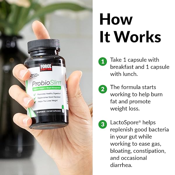 FORCE FACTOR PROBIOSLIM PROBIOTICS FOR WOMEN AND MEN, PROBIOTICS FOR DIGESTIVE HEALTH TO REDUCE BLOATING, GAS, & OCCASIONAL DIARRHEA, WITH PREBIOTICS, LACTOSPORE, & GREEN TEA FOR ENERGY, 60 CAPSULES