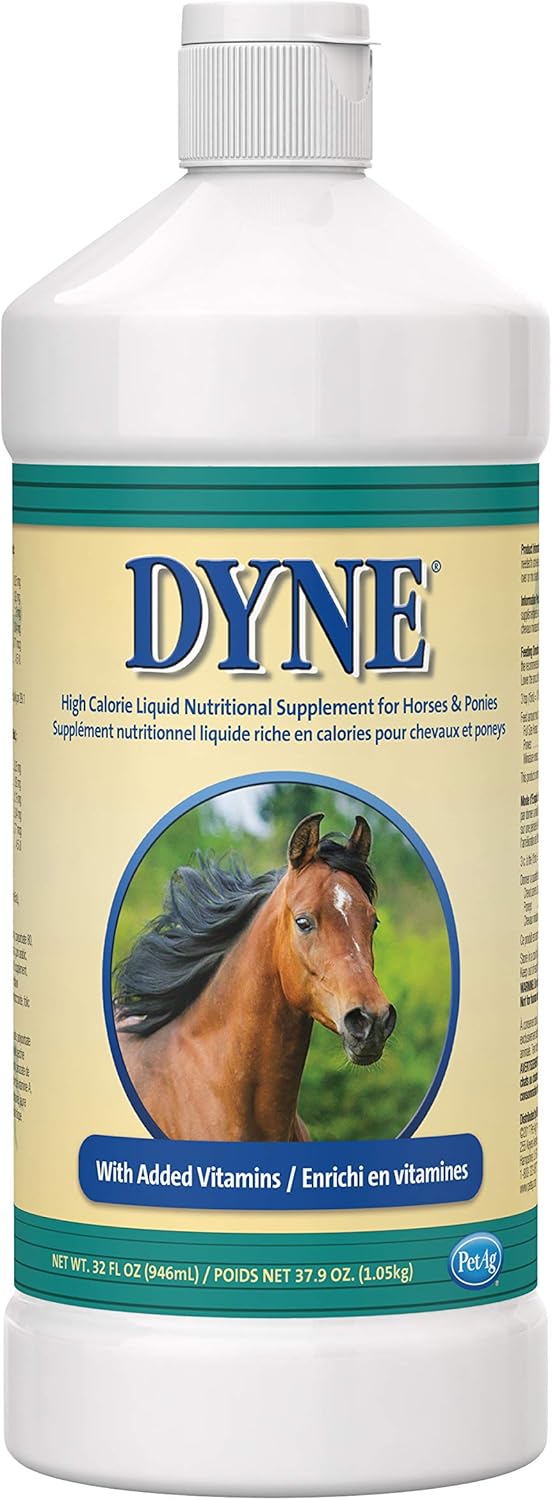 Dyne High Calorie/Weight Gainer Liquid for Horses, 32 oz : Pet Supplies