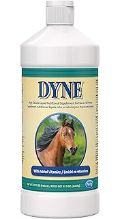 dyne high calorie dog supplement