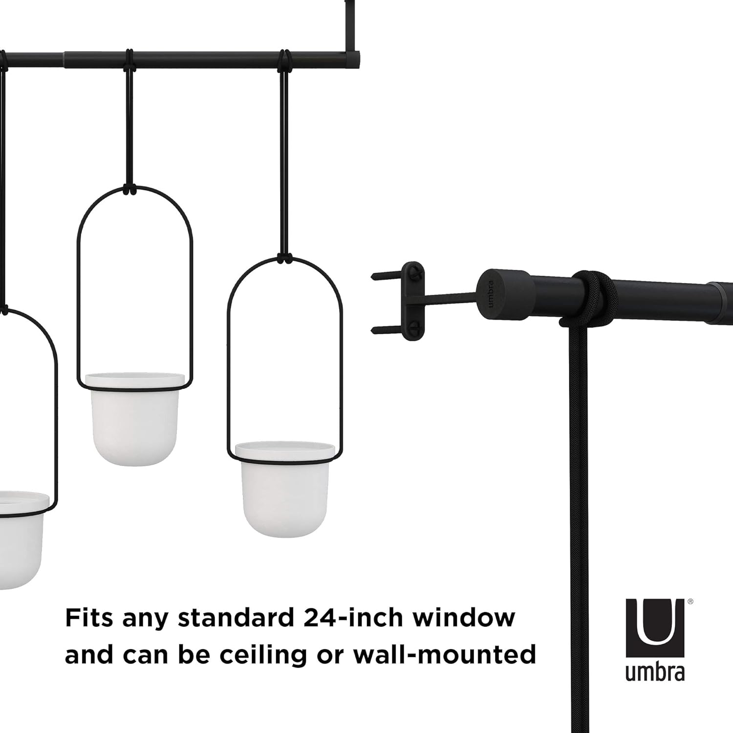 Umbra Triflora Hanging Planter for Window, Indoor Herb Garden, White/Black, Triple: Home & Kitchen