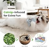 SeaMorn Cat Toys 30 Silvervine Sticks 7 Catnip Toys Interactive Dental view 3