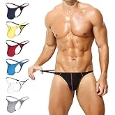 KAREN SPACE Men's Thong Underwear Sexy Mens Underwear Ice Silk Fabric Bikini G-String Thongs
