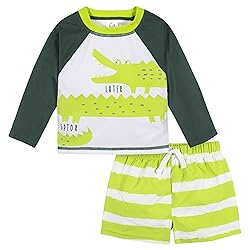 Gerber Baby Boy's Toddler Long Sleeved Rashguard