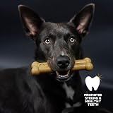 Tasty Bone Nylon Dog Chew Toy Peanut Butter Small Made in UK Indestructible view 4
