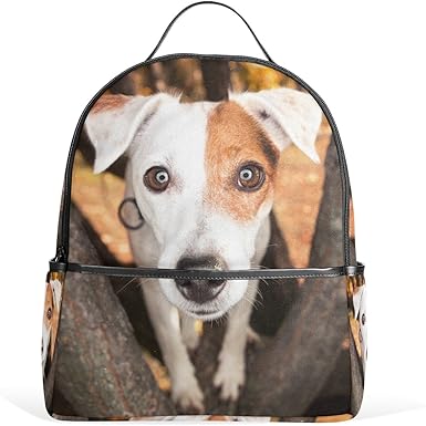 jack russell backpack