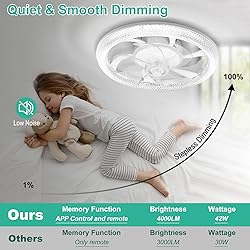 WESTTREE 20In Low Profile Ceiling Fans with Lights