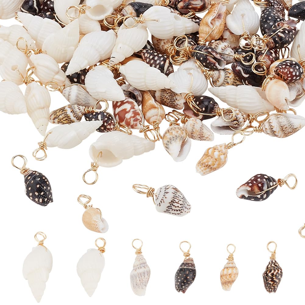HOBBIESAY 120Pcs 3 Styles Natural Shell Charms Spiral Seashells Pendant Ocean Conch Dangle Charms Tiny Sea Beach Charm for Necklace Bracelet Earring Jewelry Making DIY Craft