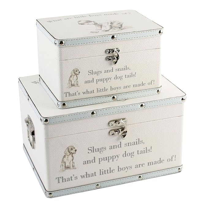 Set of 2 Storage CASE Boys Baby Keepsake Christening Gift Trunk Chest