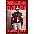 The Negro In The Civil War