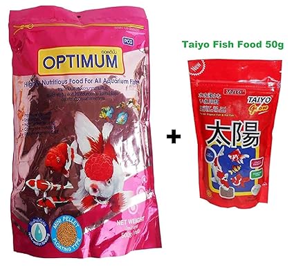 live fish food online