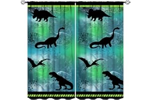 SHITINGYU Boys Dinosaur Curtains, Ancient Forest Cartoon Dinosaur Chemical Elements Education Mathematics Window Treatments for Kids Child Girls Bedroom Living Room Nursery Drapes Green Blue 42x45 Inch