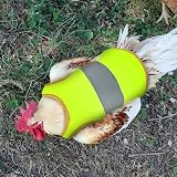 DONGKER Chicken Reflective Vest Poultry Hen Saddle Apron Adjustable Strap Duck view 5