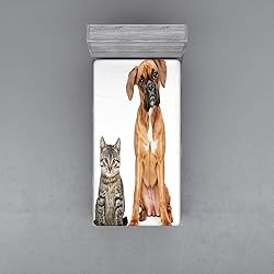 Ambesonne Boxer Dog Fitted Sheet, Photo of a Cat