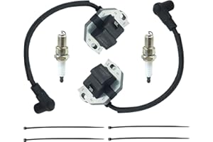 DABAZUALY 2 Pack of 21171-0740 Ignition Coil Compatible with Kawasaki Engine FR541V FR651V FR691V FR730V FS481V FR600V Fx730v with Spark plug Coil Assembly KM-21171-0758