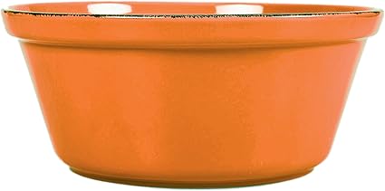 Amazon Com Bestvida Premium Stoneware Bowl Large Almond Pet