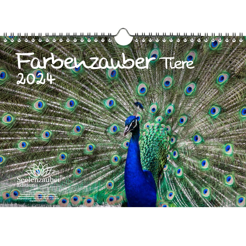 Farbenzauber Animals DIN A4 Calendar for 2024 Colours Seelenzauber