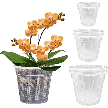 money tree plant pot size 5IN Champ Money Tree (Golf Ball Planter)  Just Add Ice