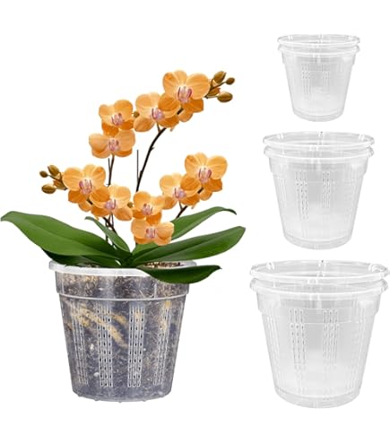 Macetas De Orquídeas Con Agujeros Para Trasplantar, Paquete | Meses Sin Interés