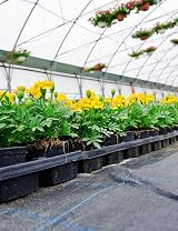 WOHOHOHO Heavy Duty Landscape Weed Control Fabric 3.3ft x 33ft 1m x 10m view 9