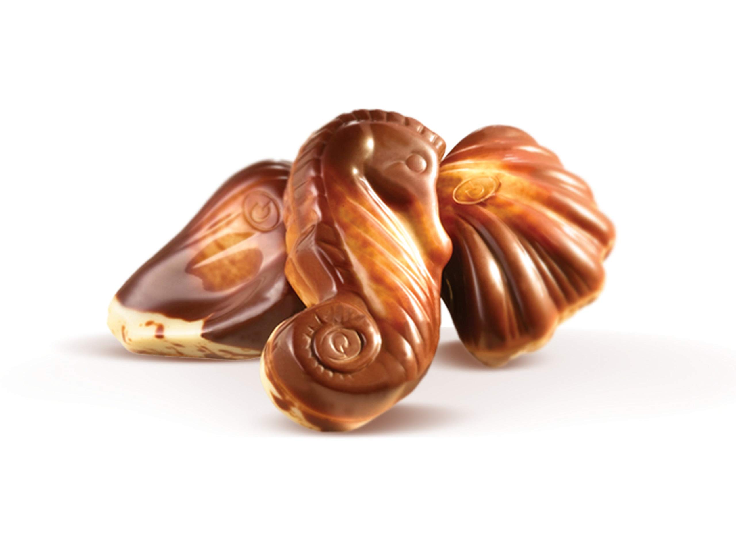 GuyLian Original Praline Seashells Chocolates in Double Layered Gift