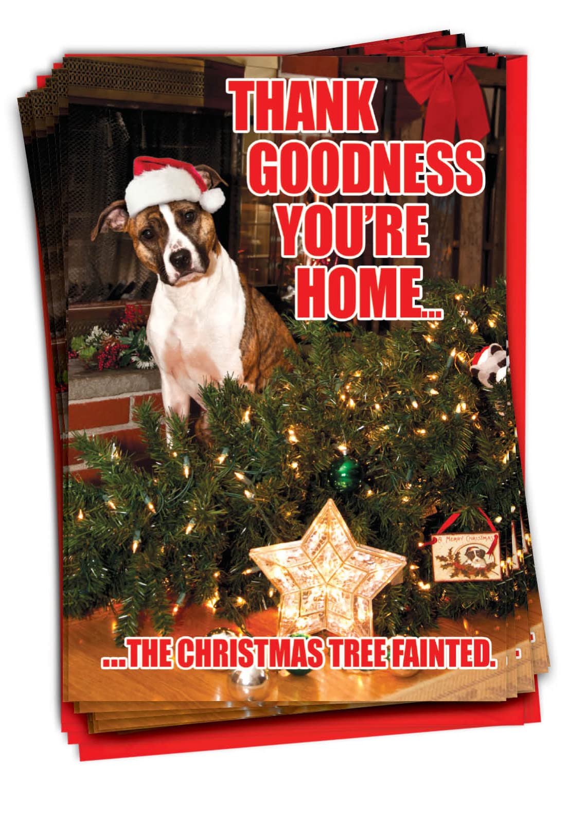 NobleWorks Bulk Pack of 36 Humorous Merry Christmas Greeting Cards w/Envelopes, Boxed Funny Holiday Dog Notecards for Men and Women (1 Designs, 36 Each) - Tree Fainted C1144XSG-B36