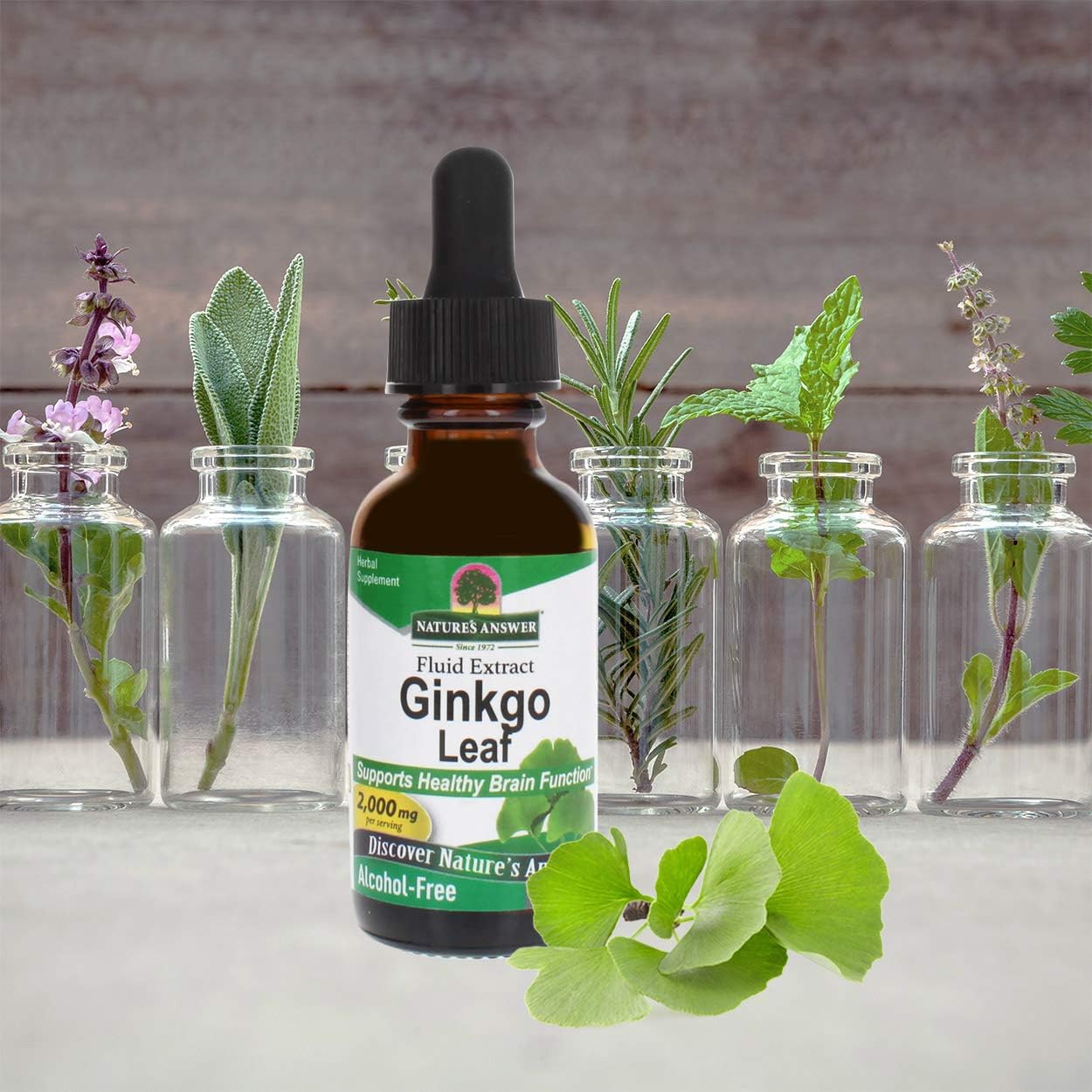 Nature's Answer Ginkgo Leaf, 1-Ounce Ginkgo Biloba Extract: Health & Personal Care