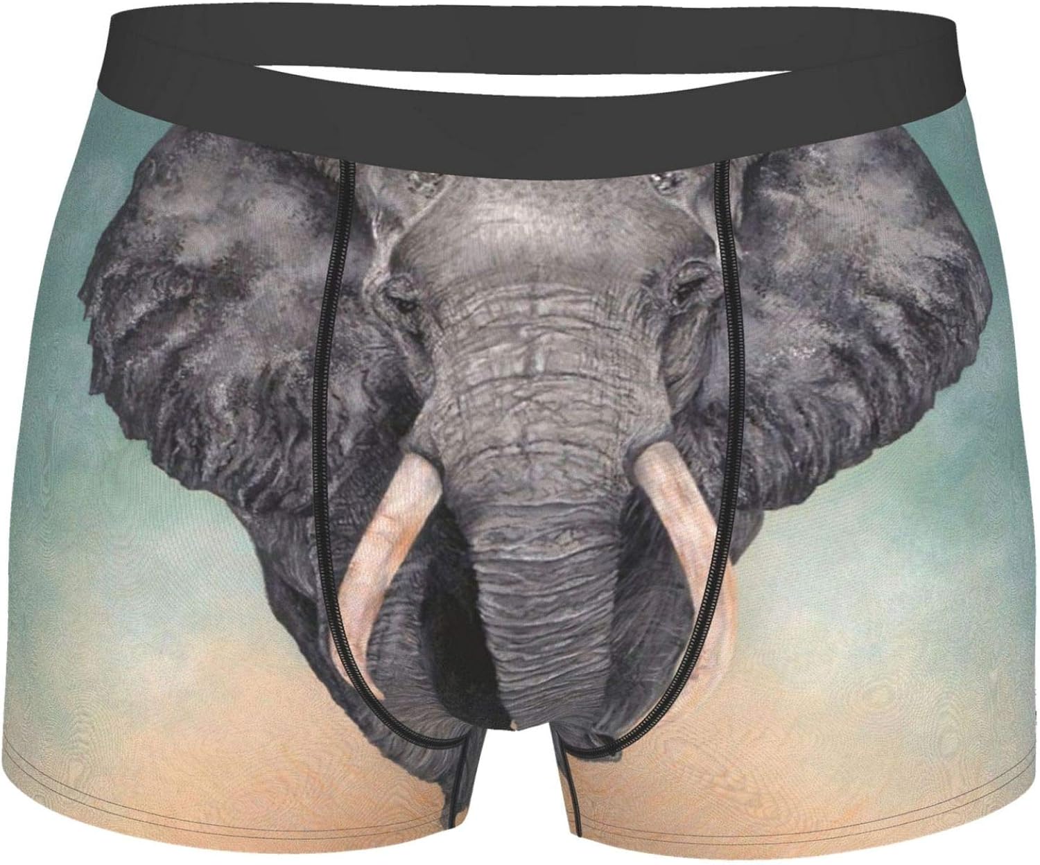 Giant Elephant Mens Underwear Boxer Briefs for Boy Youth Polyester